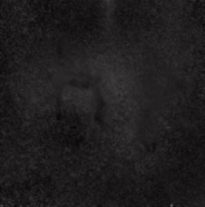 LDN 700 Starless showing IFN and the void of the dark nebula